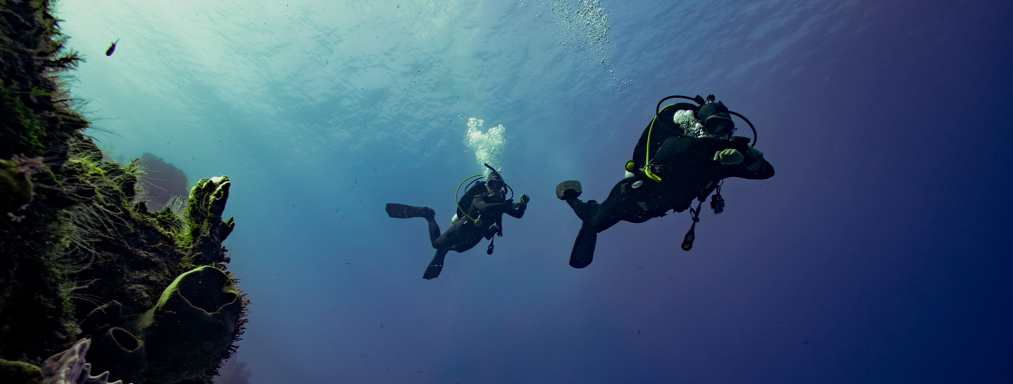 Dive