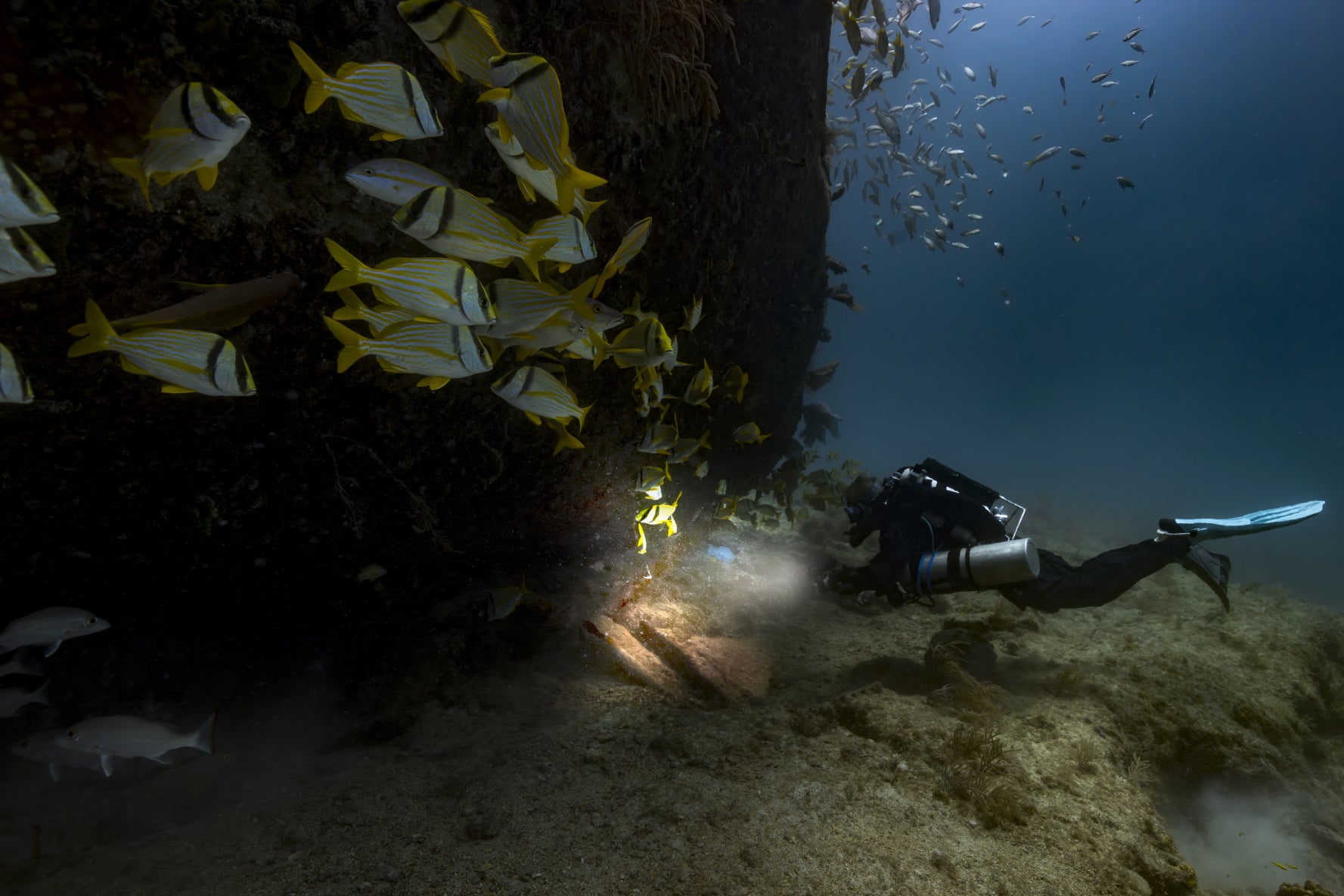 Descent X50i banner