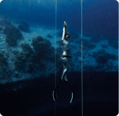 Descent